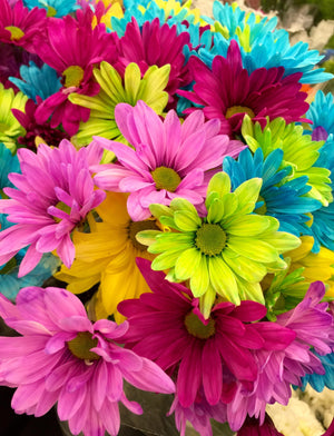 Close up picture of a colorful and vibrant bouquet of flowers. The cover image for the Just Because Collection.