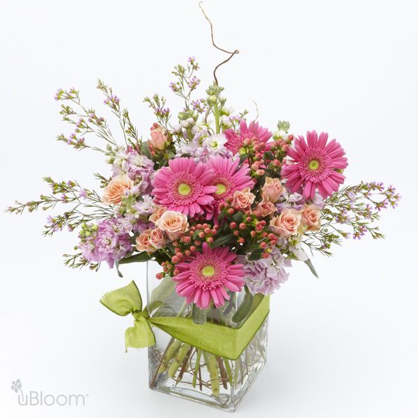 Gerbera, orchids, hypericum, wax flowers, stock, spray rose, roses and mink protea floral arrangement in a glass vase with a green ribbon