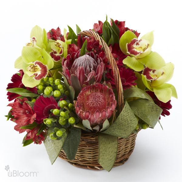 Floral arrangement in a woven, green-ribbon basket featuring orchids and greenery