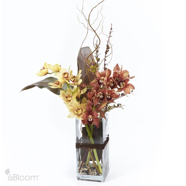 Glass vase with a brown ribbon featuring gold and brown cymbidium orchids adorned with curly willow and ti leaf.