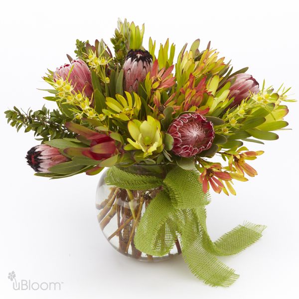 Round, clear vase, tied together with country weave burlap and filled with seasonal protea flowers ranging in color from blush to purple and all shades of green.