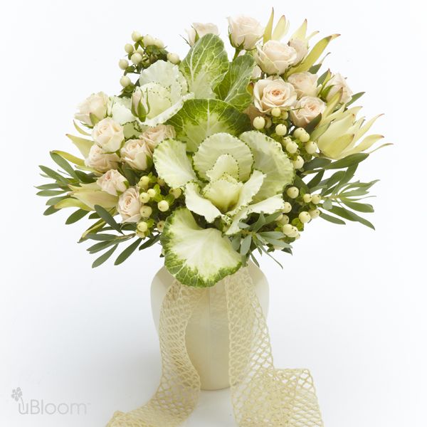 Elegant white and green floral arrangement featuring spray roses, hypericums, leucadendrons, and brassicas sitting in a cream vase adorned by an ivory ribbon