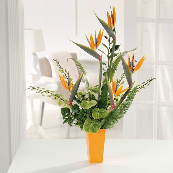 Vibrant orange vase featuring anthuriums, dendrobium orchids, and the exquisite bird of paradise.