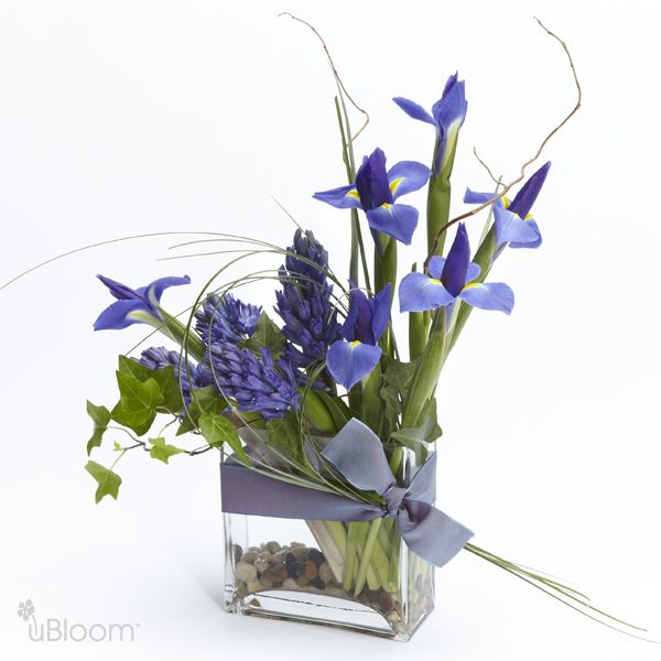 Indigo-colored floral arrangement featuring hyacinths and iris flowers, surrounded by the natural foliage of curly willow tip, ivy, and bear grass. In a clear glass vase adorned by a blue-grey ribbon.