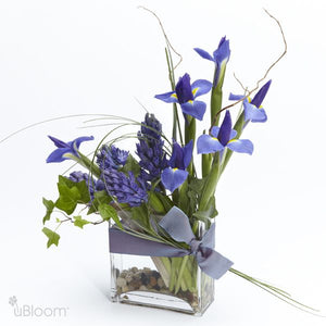 Indigo-colored floral arrangement featuring hyacinths and iris flowers, surrounded by the natural foliage of curly willow tip, ivy, and bear grass. In a clear glass vase adorned by a blue-grey ribbon.