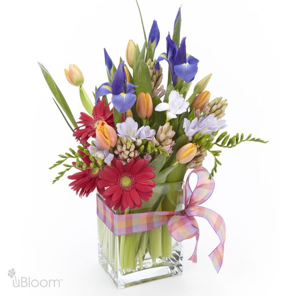 Clear vase adorned with a ribbon featuring freesia, lilies, succulent, hydrangea, David Austin roses, gerondo, and wax flowers