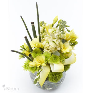 Bubble glass bowl featuring a yellow and green floral arrangement consisting of green thick dianthus, pompom, stock, and freesia,